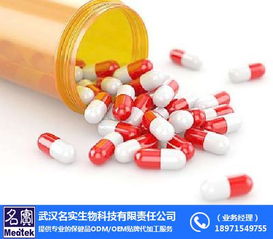 硬膠囊生產(chǎn)線技術(shù)服務(wù)務(wù)實指南與面向名實優(yōu)選供應(yīng)商